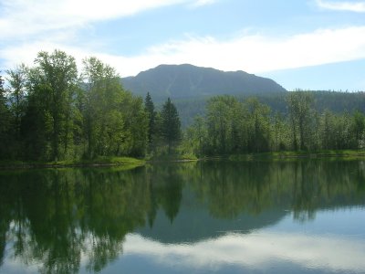 Veiw across a pond, looking East of Fernie.